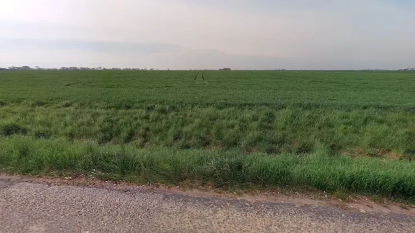 Prodej pole, Kostomlaty nad Labem, 9904 m2