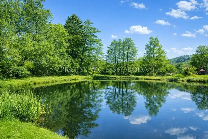 Prodej chalupy, Ždírec nad Doubravou, 290 m2