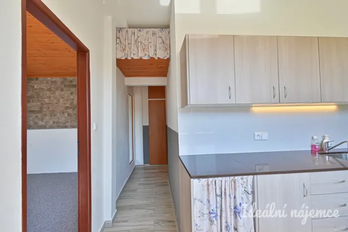 Prodej bytu 1+1, Nížkovice, 35 m2