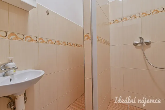 Prodej bytu 1+1, Nížkovice, 35 m2