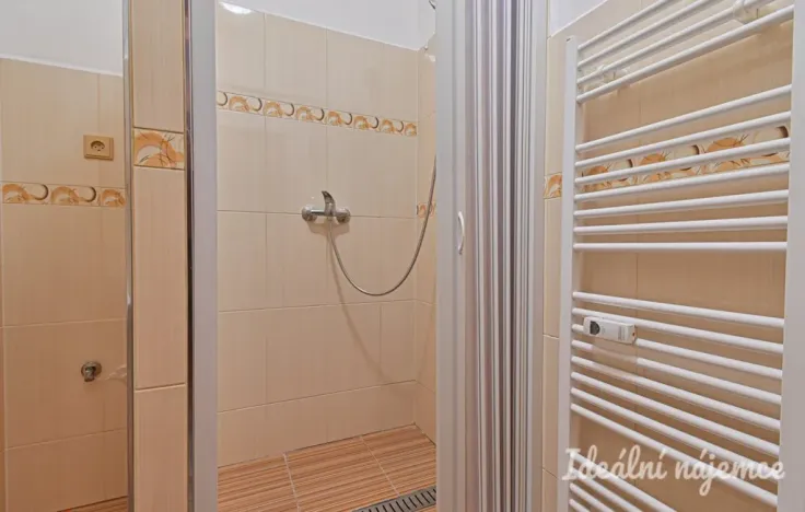 Prodej bytu 1+1, Nížkovice, 35 m2