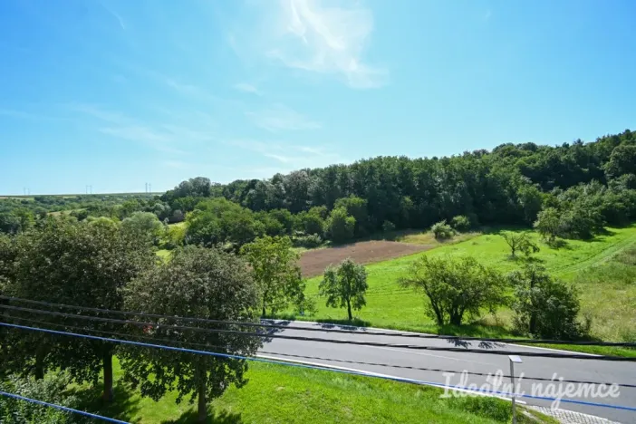 Prodej bytu 1+1, Nížkovice, 35 m2