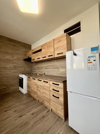 Pronájem bytu 3+1, Frýdek-Místek - Frýdek, Jana Čapka, 66 m2