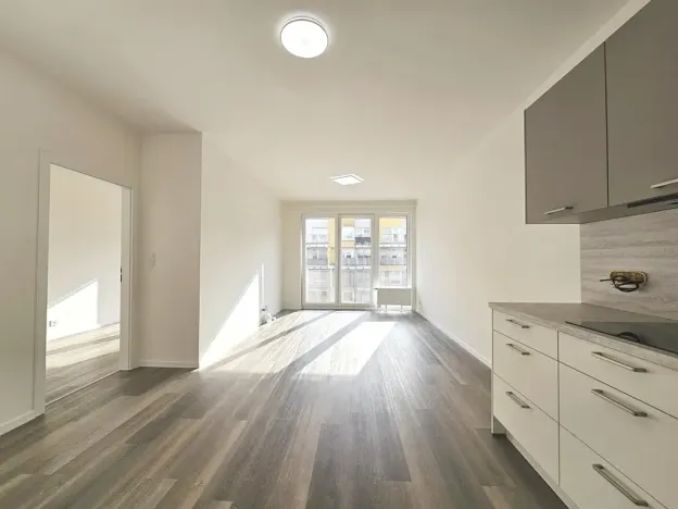 Pronájem bytu 2+kk, Praha - Vysočany, Gerstelova, 52 m2
