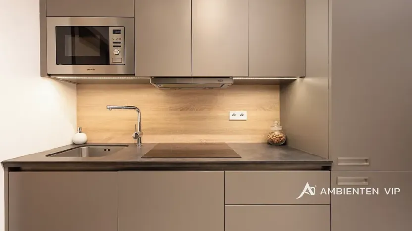 Pronájem bytu 1+kk, Brno, Mezírka, 42 m2