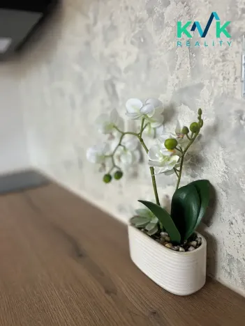 Prodej bytu 1+kk, Karlovy Vary, Fibichova, 19 m2