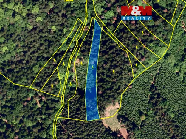 Prodej lesa, Rusava, 26118 m2