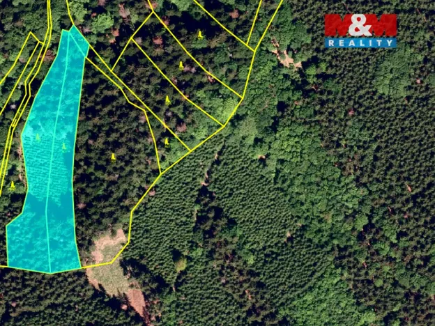 Prodej lesa, Rusava, 26118 m2