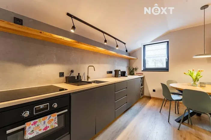Prodej apartmánu, Staré Město, Sportovní, 197 m2