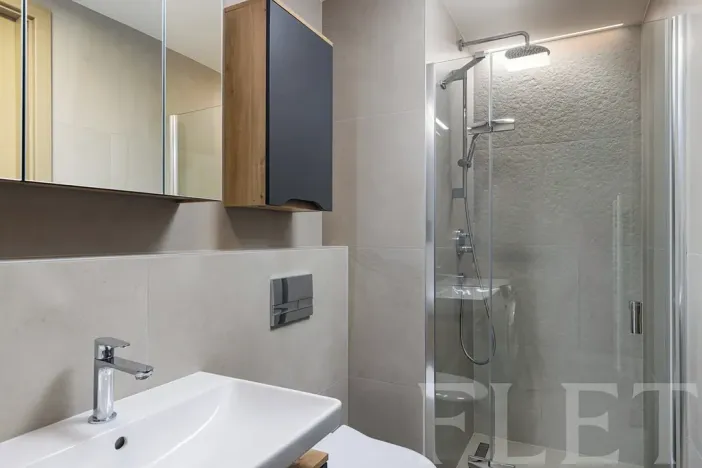 Pronájem bytu 2+kk, Praha - Žižkov, V domově, 48 m2