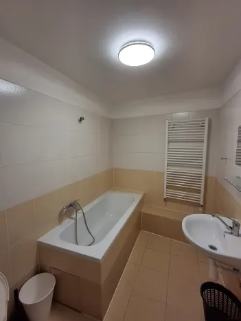 Pronájem bytu 2+1, Teplice, U Císařských lázní, 51 m2