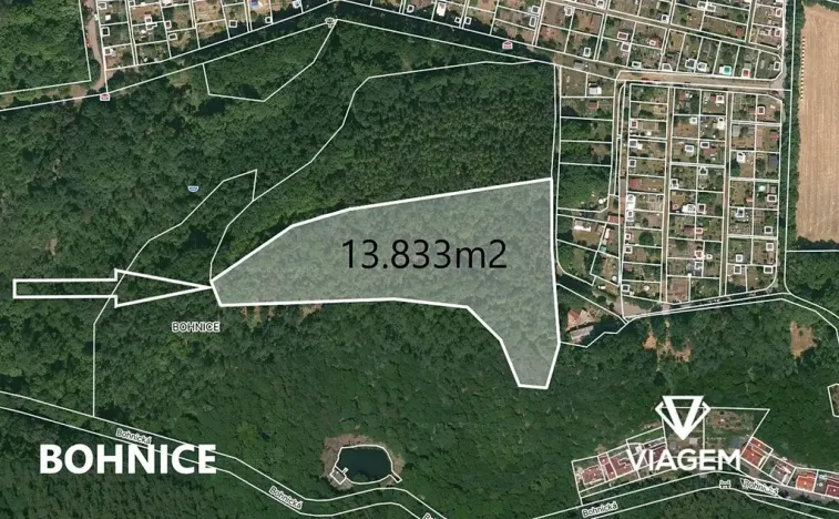 Prodej lesa, Praha - Bohnice, 13833 m2