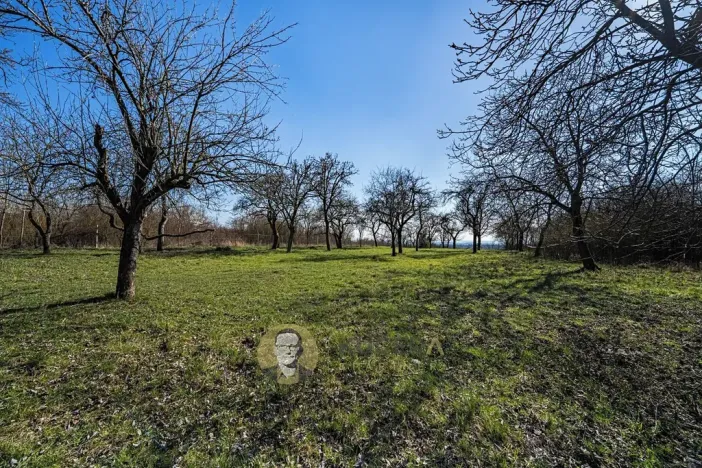 Prodej pozemku pro bydlení, Střemy, 3158 m2