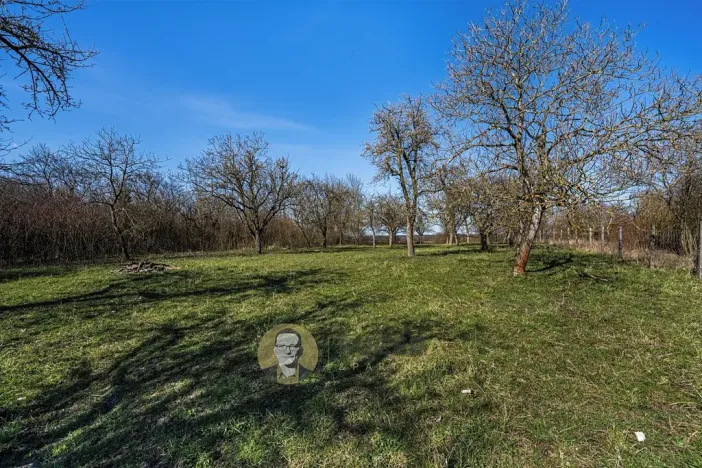 Prodej pozemku pro bydlení, Střemy, 3158 m2