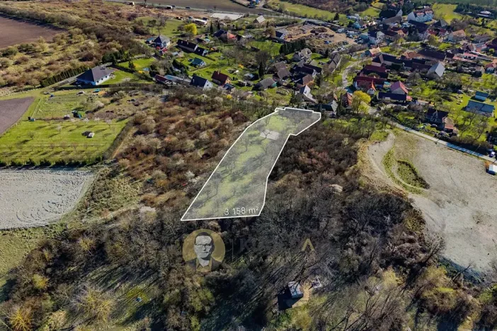 Prodej pozemku pro bydlení, Střemy, 3158 m2