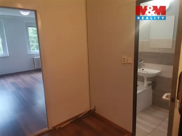 Pronájem bytu 1+kk, Ústí nad Labem - Krásné Březno, Obvodová, 32 m2