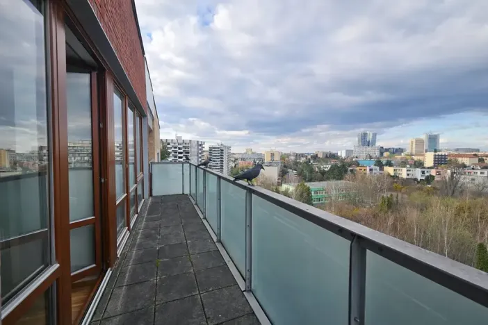 Pronájem bytu 4+kk, Praha - Krč, Hudečkova, 162 m2