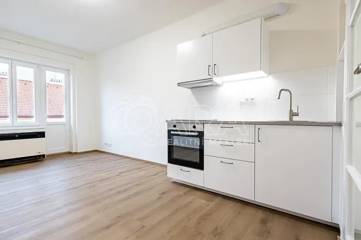 Pronájem bytu 1+kk, Praha - Nusle, V Horkách, 22 m2