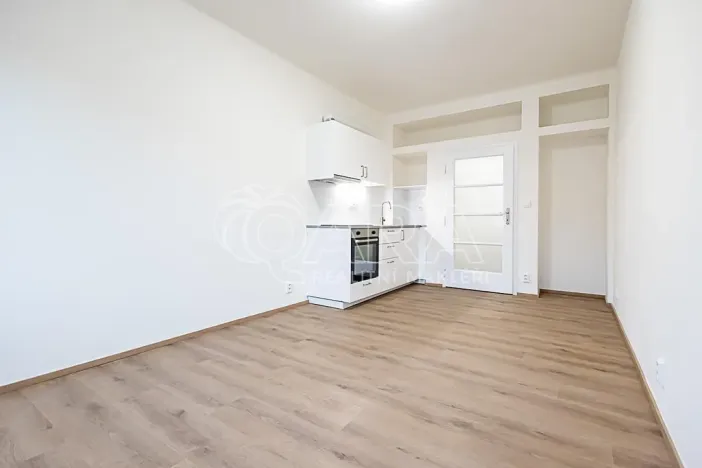 Pronájem bytu 1+kk, Praha - Nusle, V Horkách, 22 m2