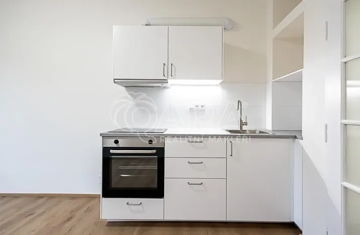 Pronájem bytu 1+kk, Praha - Nusle, V Horkách, 22 m2