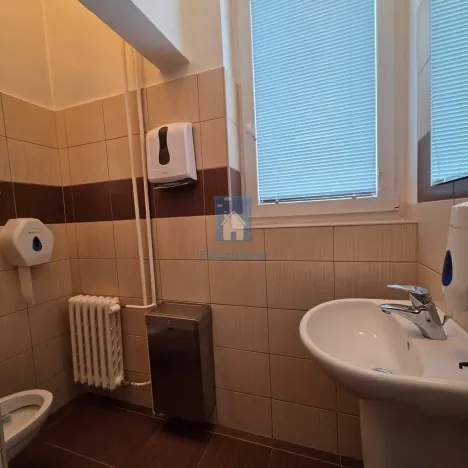 Pronájem kanceláře, Plzeň, Hálkova, 125 m2