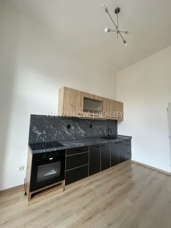 Pronájem bytu 1+1, České Budějovice - České Budějovice 6, Žižkova tř., 49 m2