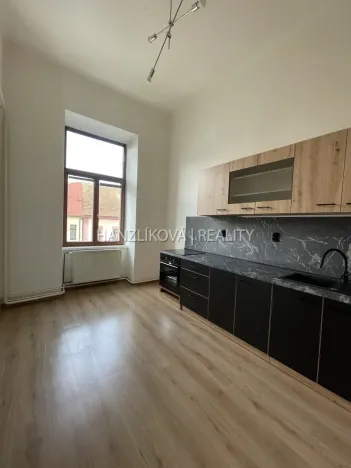 Pronájem bytu 1+1, České Budějovice - České Budějovice 6, Žižkova tř., 49 m2