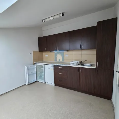 Pronájem bytu 4+1, Plzeň, Hálkova, 104 m2