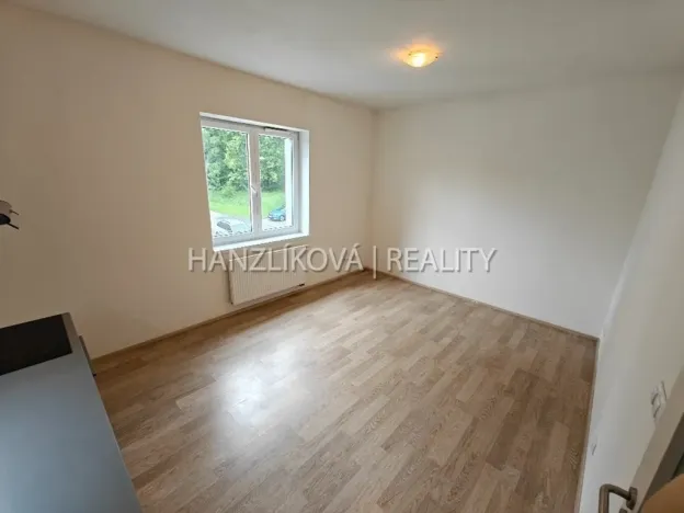 Pronájem bytu 1+kk, České Budějovice - České Budějovice 2, U Lesa, 26 m2