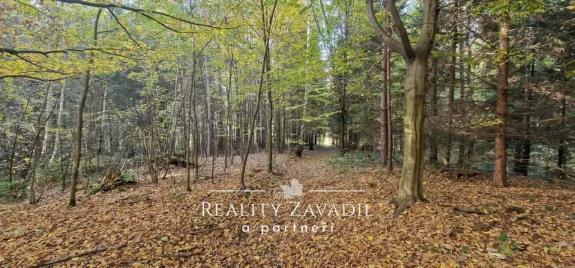 Prodej lesa, Prostřední Bečva, 25462 m2