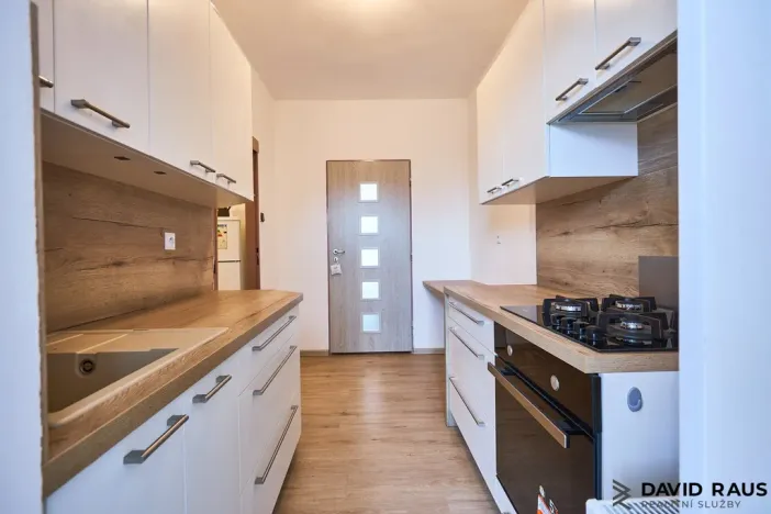 Prodej rodinného domu, Hrušovany u Brna, Žižkova, 232 m2