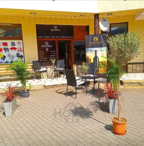 Prodej obchodního prostoru, Harrachov, 58 m2