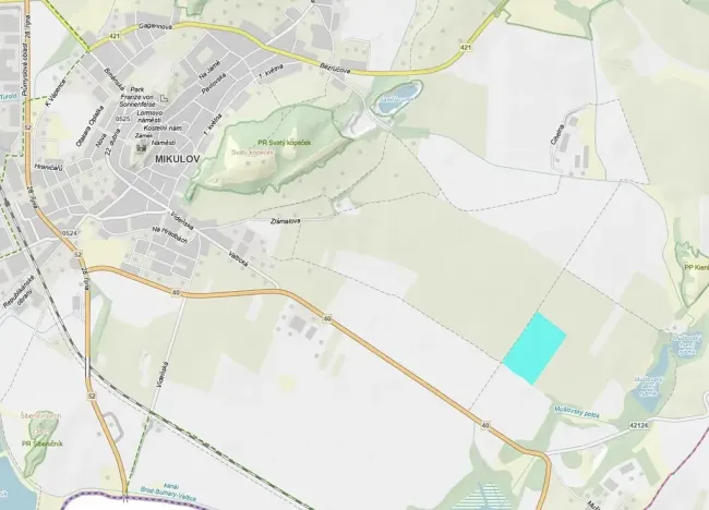 Prodej pozemku, Mikulov, 99149 m2