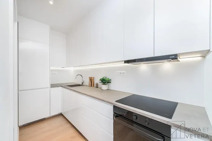Prodej bytu 4+kk, Praha - Žižkov, Pod lipami, 74 m2