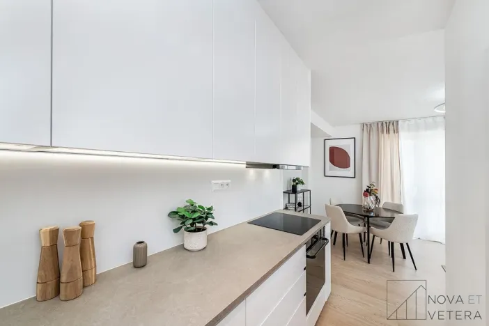 Prodej bytu 4+kk, Praha - Žižkov, Pod lipami, 74 m2