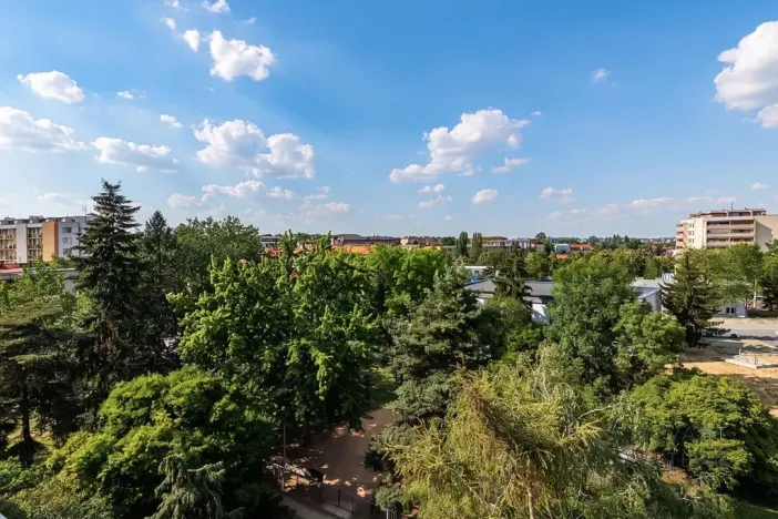 Prodej bytu 4+kk, Praha - Žižkov, Pod lipami, 74 m2