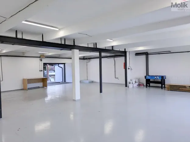 Pronájem skladu, Ledvice, Mírová, 198 m2