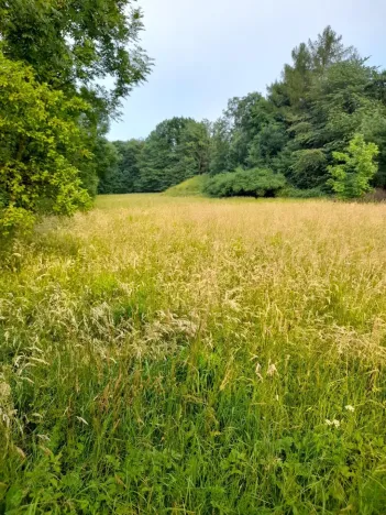 Pronájem pole, Kopřivnice, 510 m2