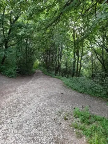 Pronájem pole, Kopřivnice, 510 m2