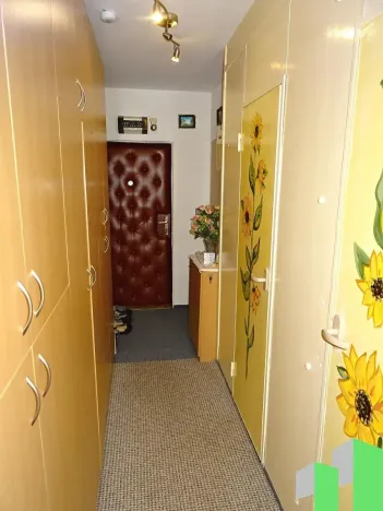 Prodej bytu 1+1, Frýdek-Místek, Třanovského, 35 m2