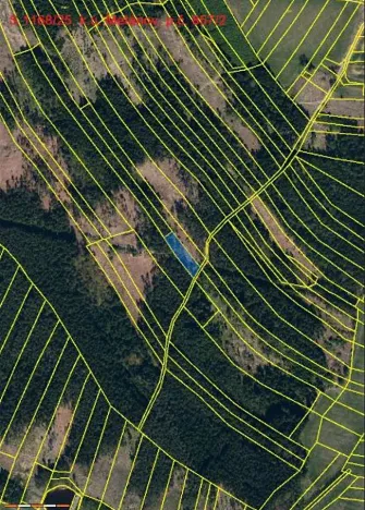 Prodej lesa, Častrov, 1295 m2