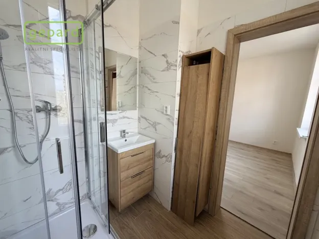 Pronájem bytu 1+1, Karlovy Vary, Moskevská, 49 m2