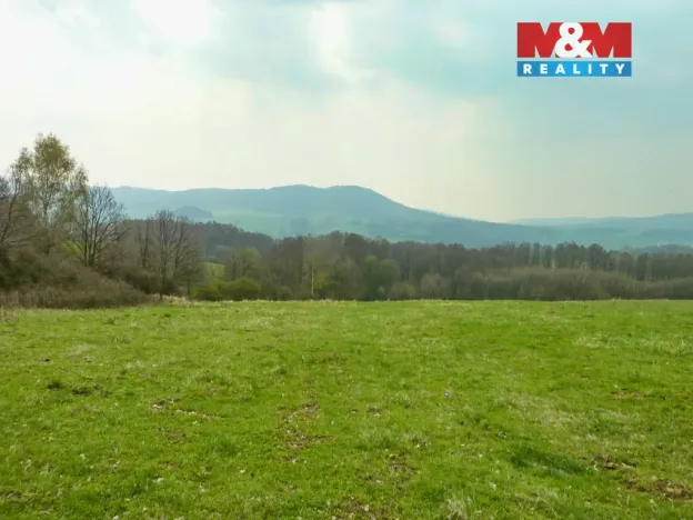 Prodej louky, Stružnice, 55278 m2