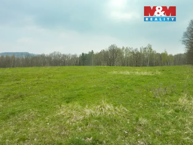 Prodej louky, Stružnice, 55278 m2