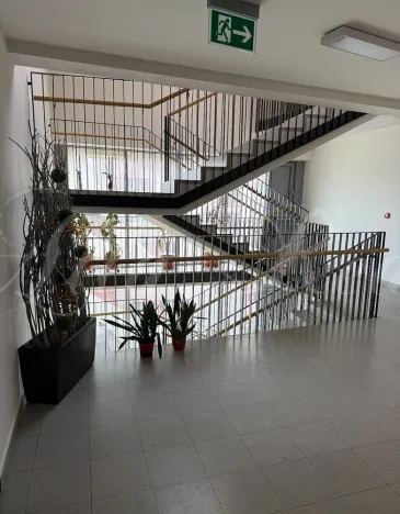 Pronájem bytu 1+kk, Brno - Medlánky, Palackého třída, 33 m2