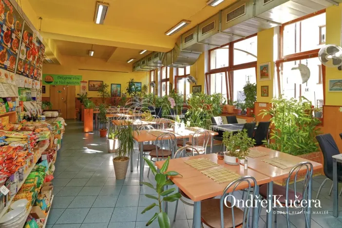 Prodej činžovního domu, Kladno, Osvoboz. pol. vězňů, 1000 m2