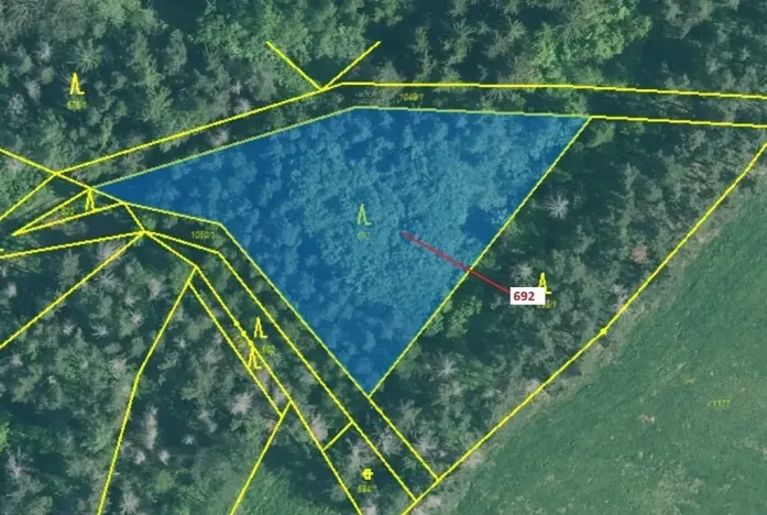 Dražba lesa, Kuřimany, 2947 m2