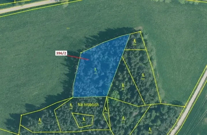 Dražba lesa, Kuřimany, 3340 m2