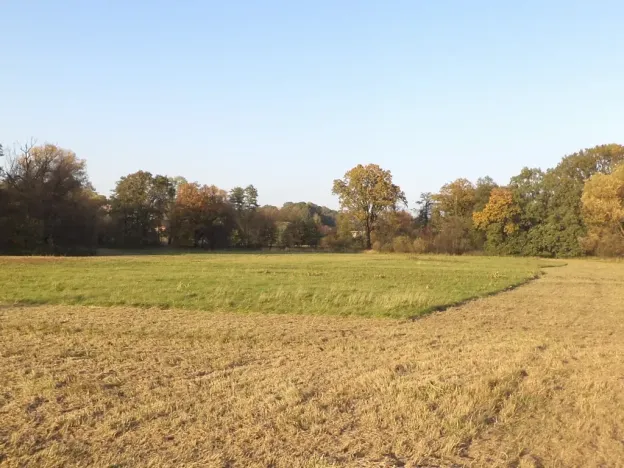 Dražba louky, Petrovice u Karviné, 6981 m2