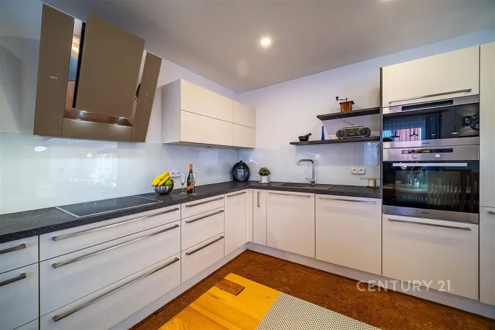 Prodej rodinného domu, Žabovřesky, 285 m2